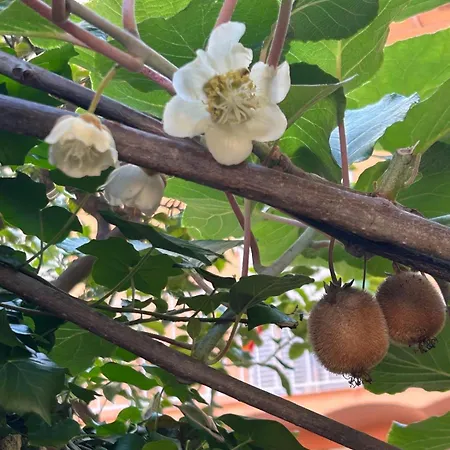 Charmante 3 Zimmer, Stadtwohnung