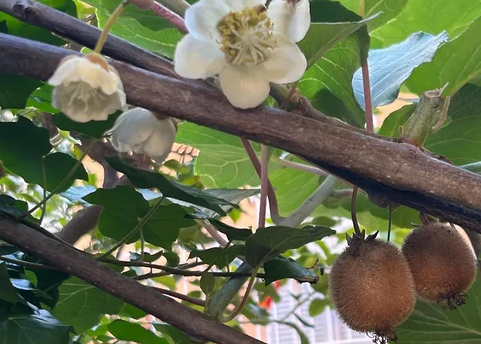 Charmante 3 Zimmer, Stadtwohnung