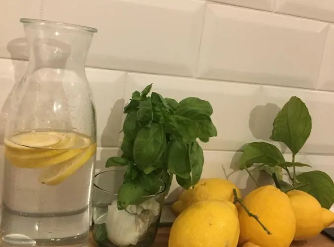 Appartement Charmante 3 Zimmer, Stadtwohnung